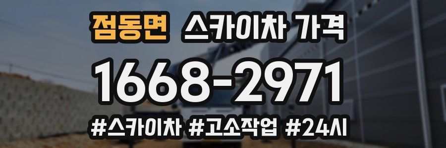 점동면 스카이차 가격