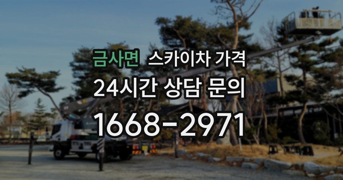 금사면 스카이차 가격