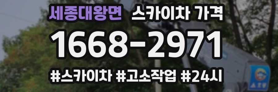 세종대왕면 스카이차 가격