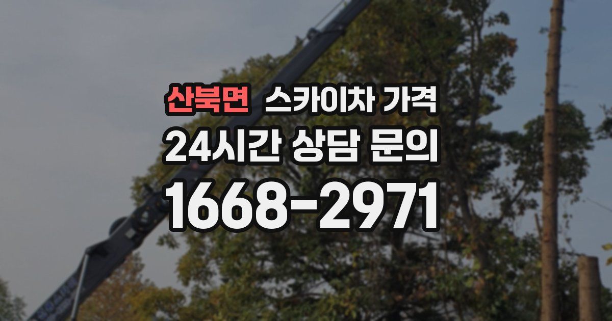 산북면 스카이차 가격