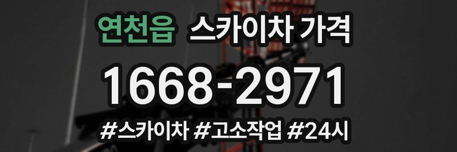 연천읍 스카이차 가격