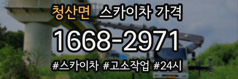 청산면 스카이차 가격