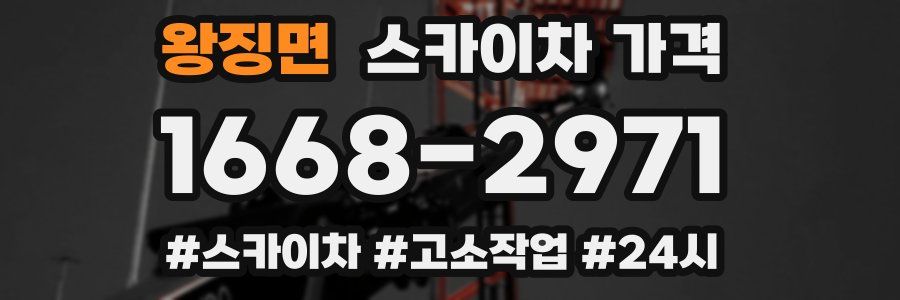 왕징면 스카이차 가격