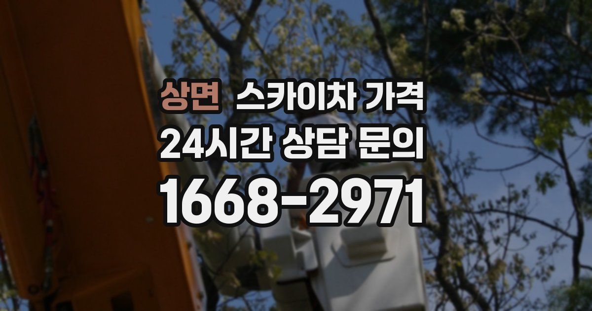 상면 스카이차 가격