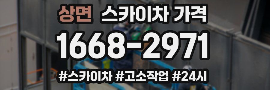 상면 스카이차 가격