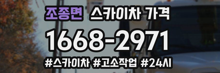 조종면 스카이차 가격