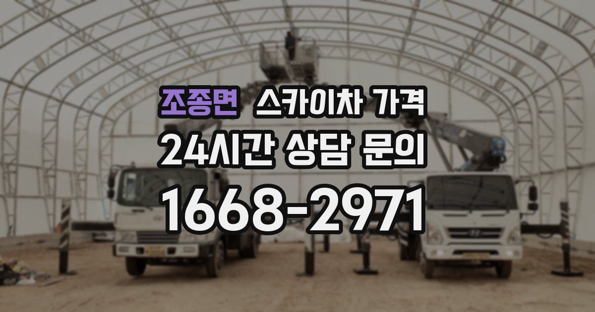 조종면 스카이차 가격