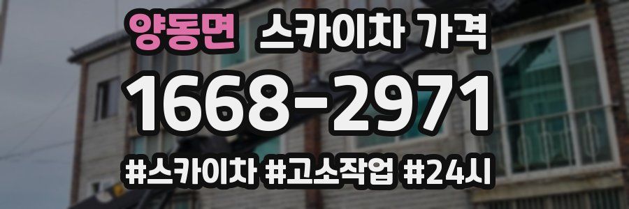 양동면 스카이차 가격