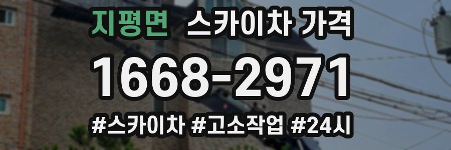 지평면 스카이차 가격