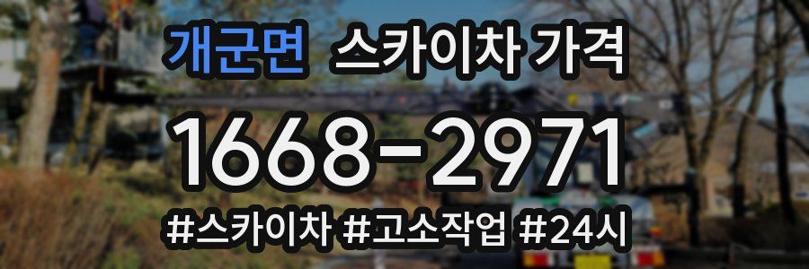 개군면 스카이차 가격