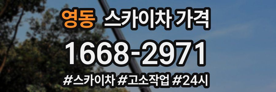 영동 스카이차 가격