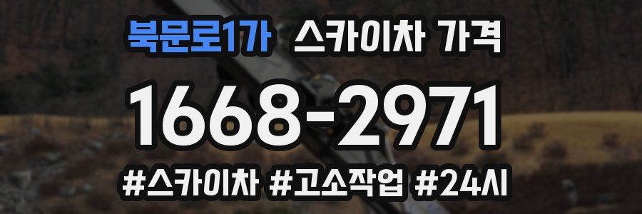 북문로1가 스카이차 가격