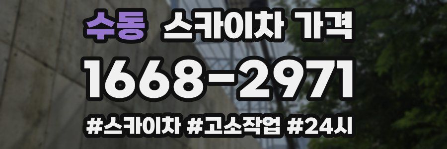 수동 스카이차 가격