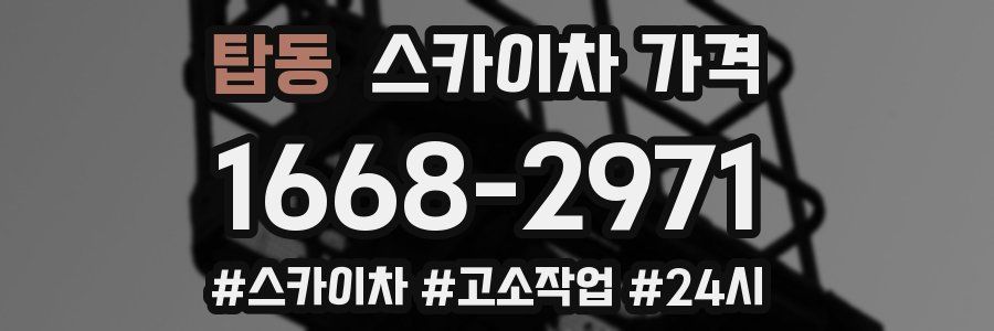 탑동 스카이차 가격