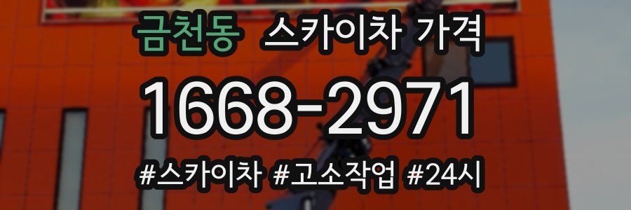 금천동 스카이차 가격