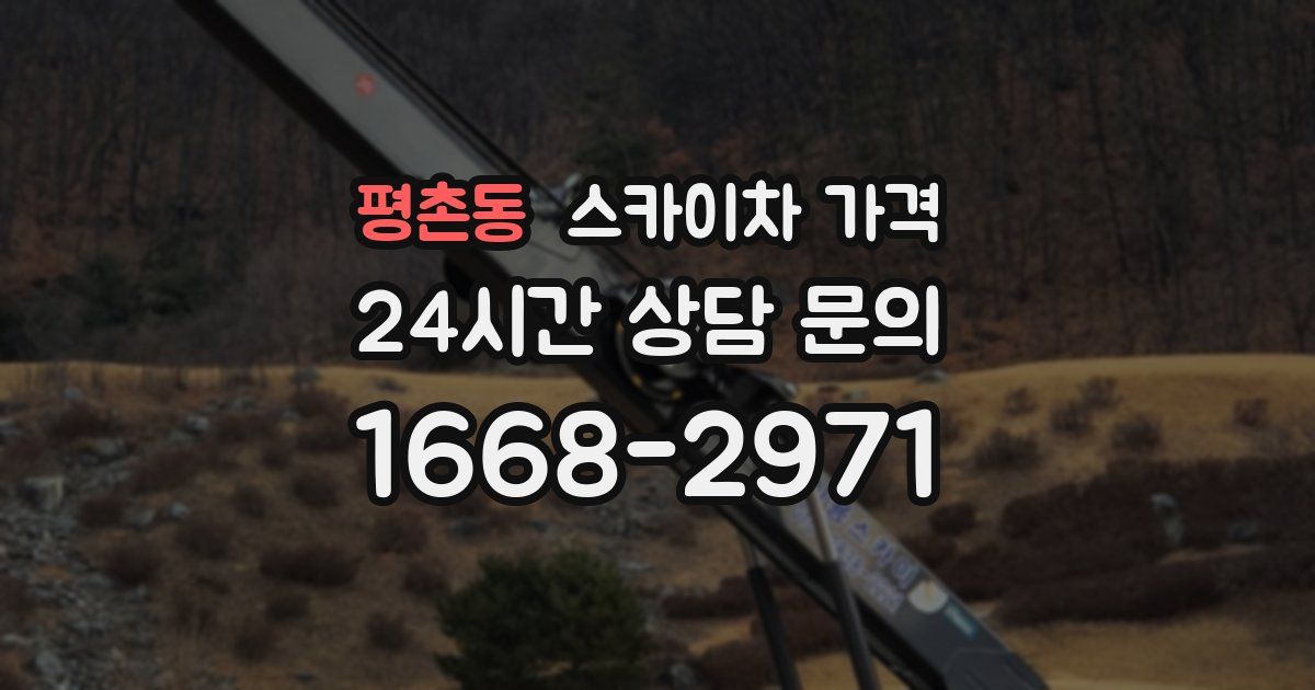 평촌동 스카이차 가격