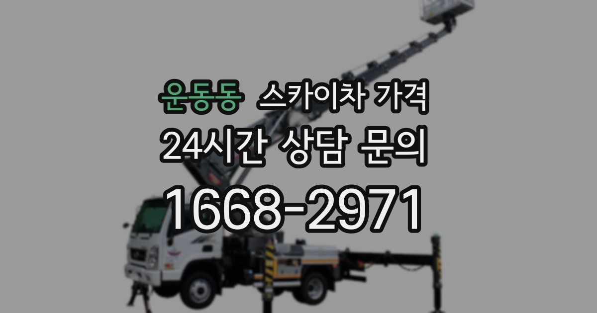 운동동 스카이차 가격