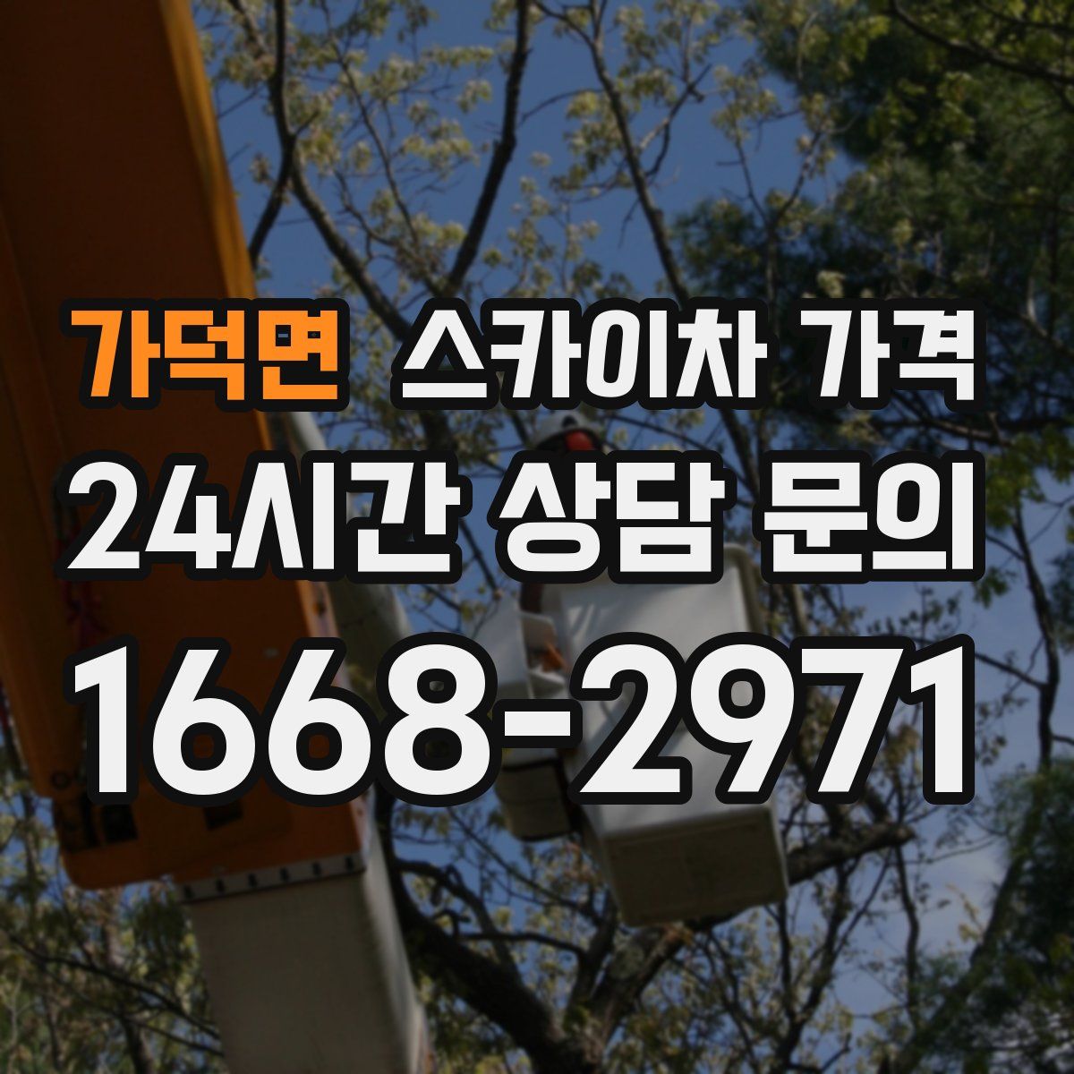 가덕면 스카이차 가격