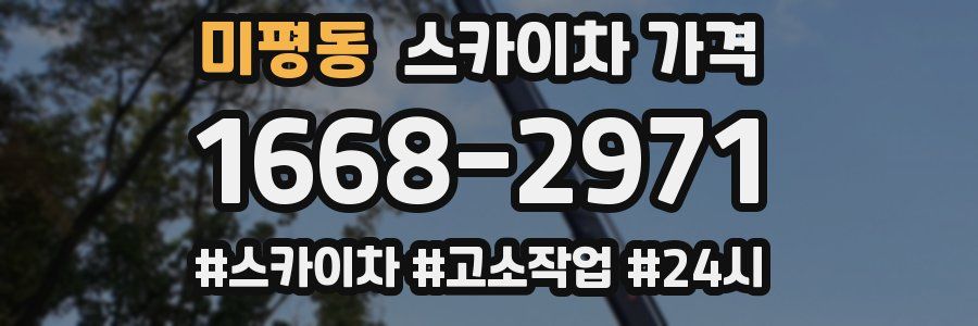 미평동 스카이차 가격