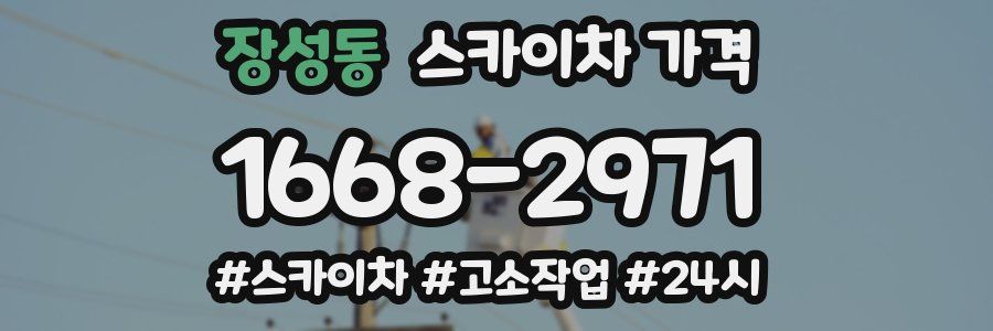 장성동 스카이차 가격