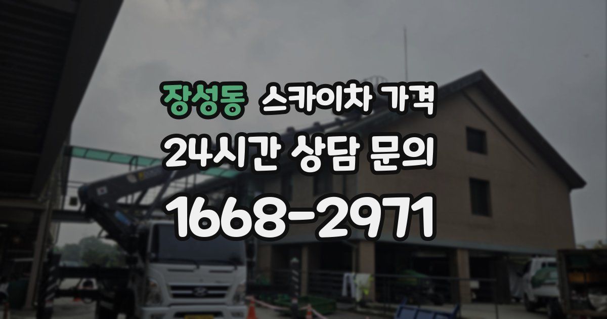 장성동 스카이차 가격