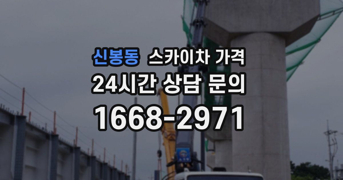신봉동 스카이차 가격