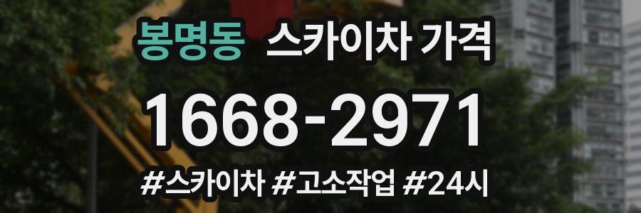 봉명동 스카이차 가격