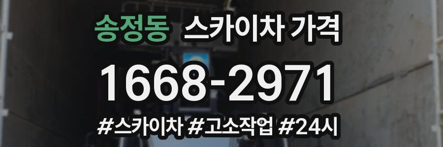 송정동 스카이차 가격