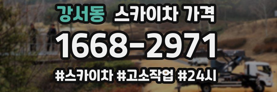 강서동 스카이차 가격