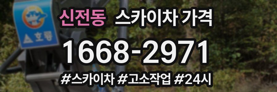 신전동 스카이차 가격