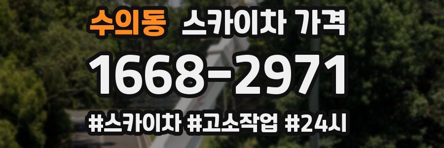 수의동 스카이차 가격