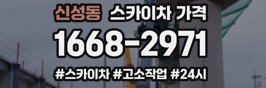 신성동 스카이차 가격