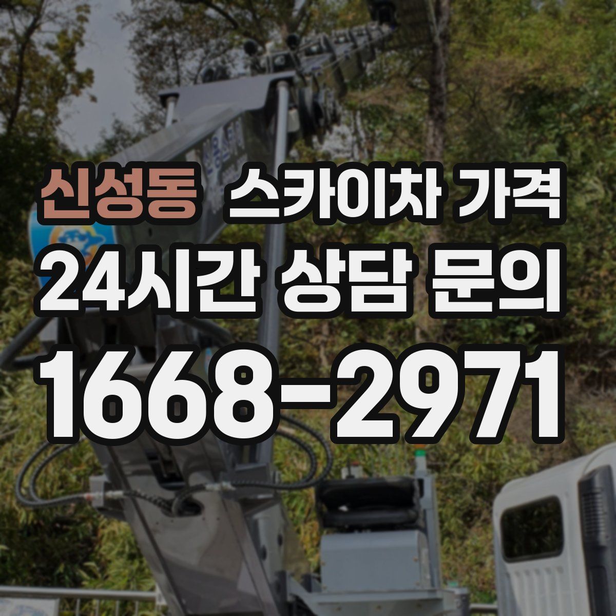 신성동 스카이차 가격