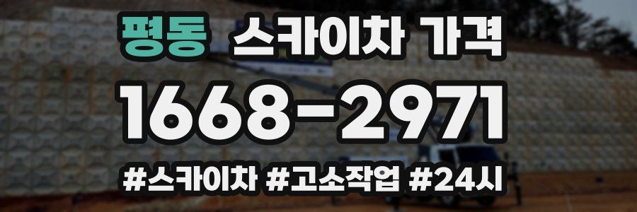 평동 스카이차 가격