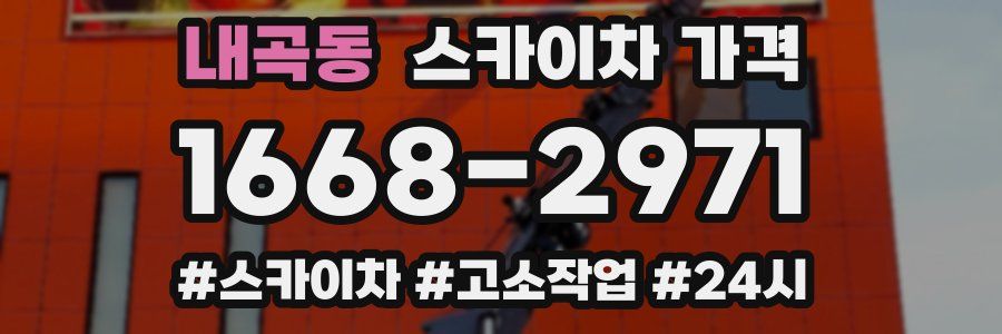 내곡동 스카이차 가격