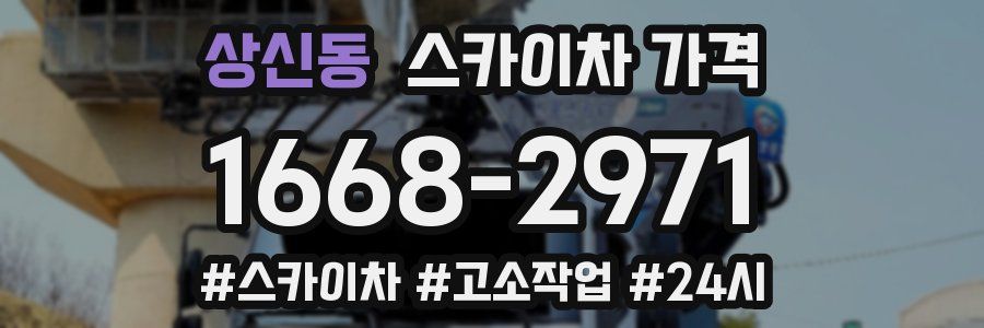 상신동 스카이차 가격