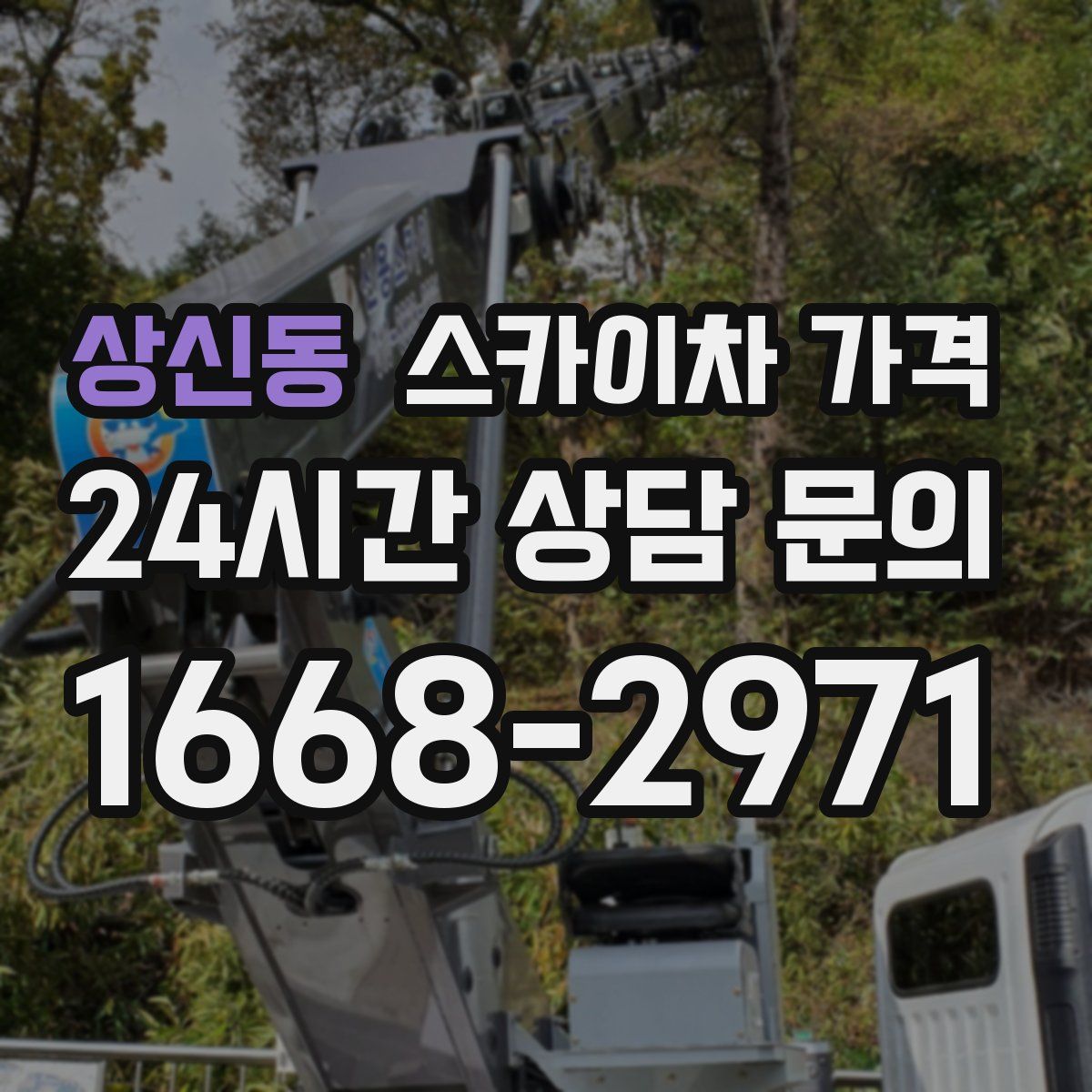 상신동 스카이차 가격