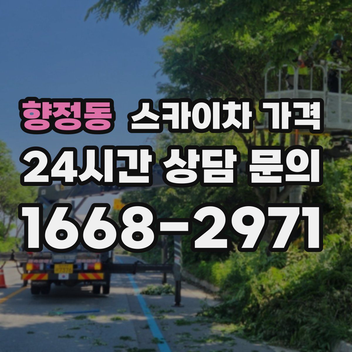 향정동 스카이차 가격