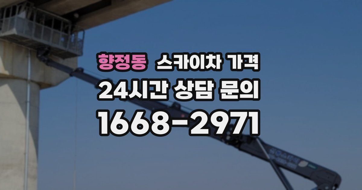 향정동 스카이차 가격