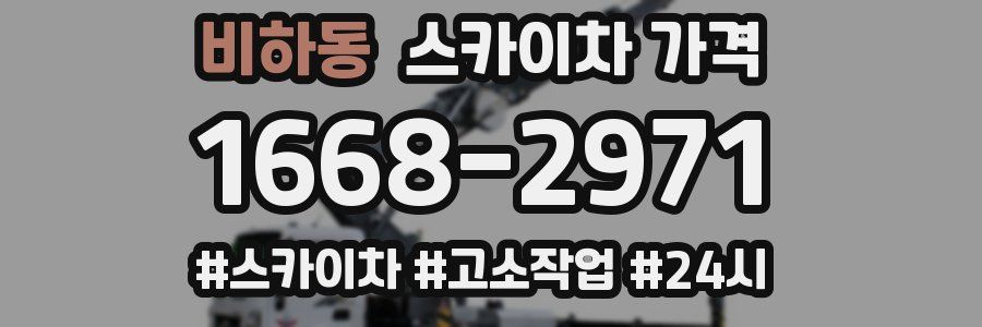 비하동 스카이차 가격