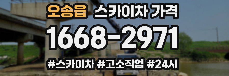 오송읍 스카이차 가격