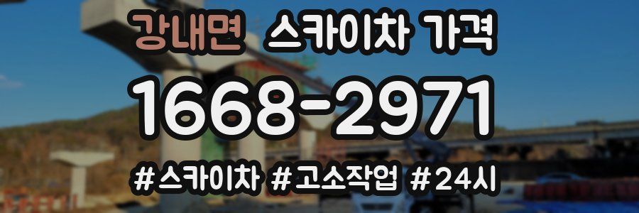 강내면 스카이차 가격