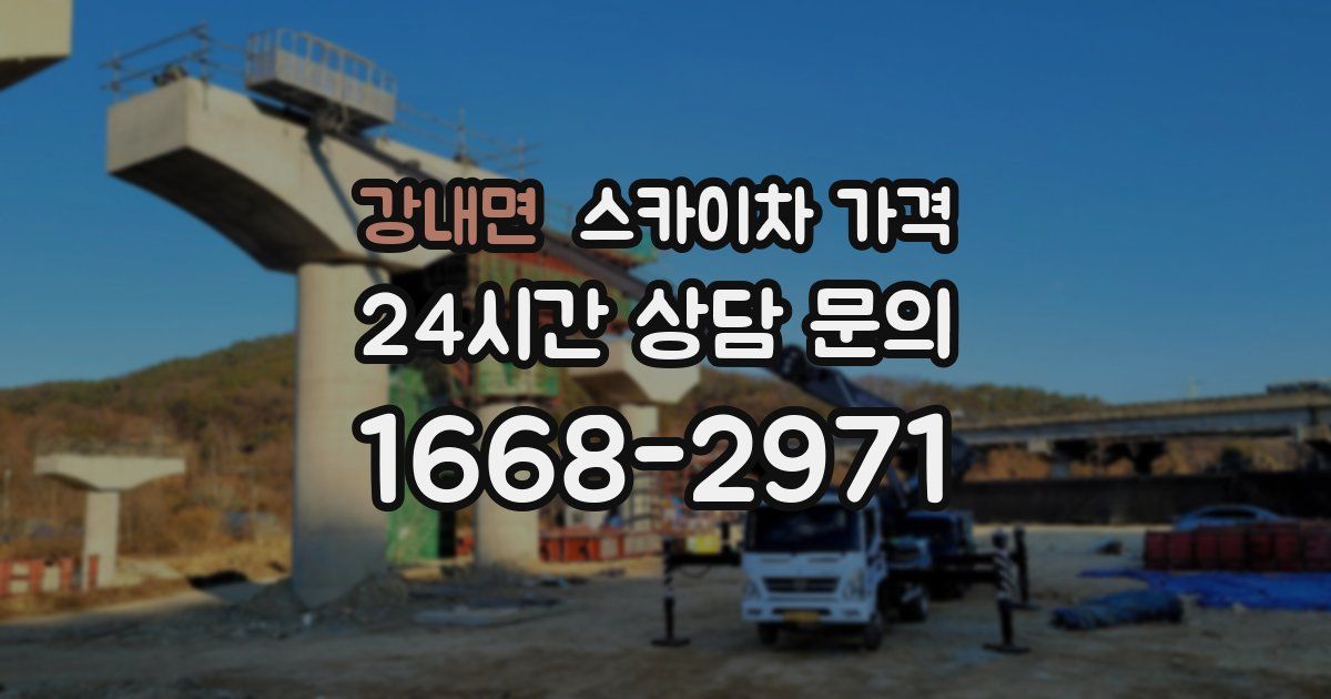 강내면 스카이차 가격