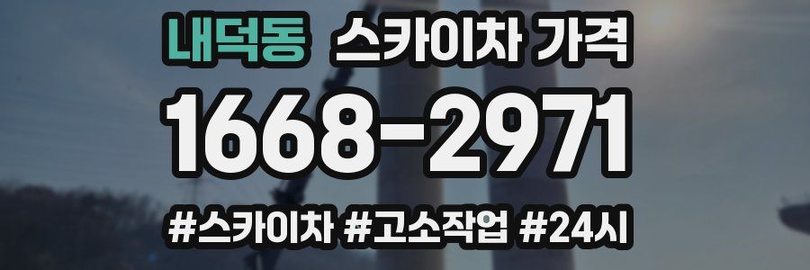 내덕동 스카이차 가격