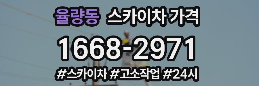 율량동 스카이차 가격