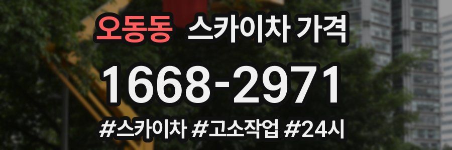 오동동 스카이차 가격