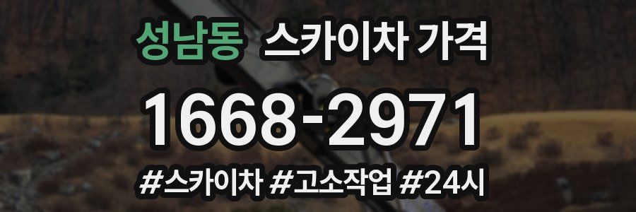 성남동 스카이차 가격