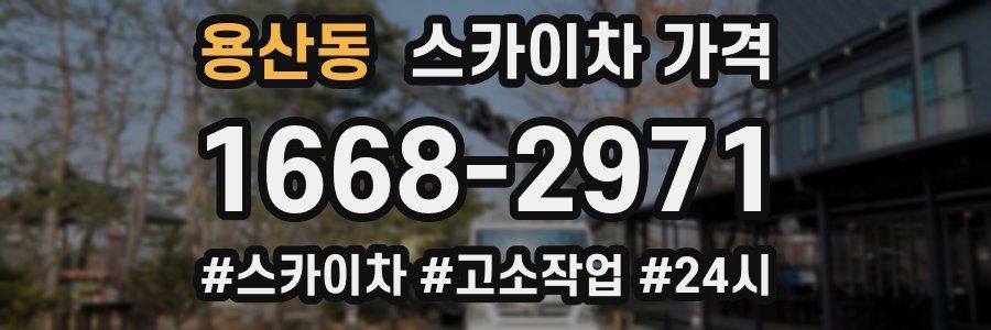 용산동 스카이차 가격