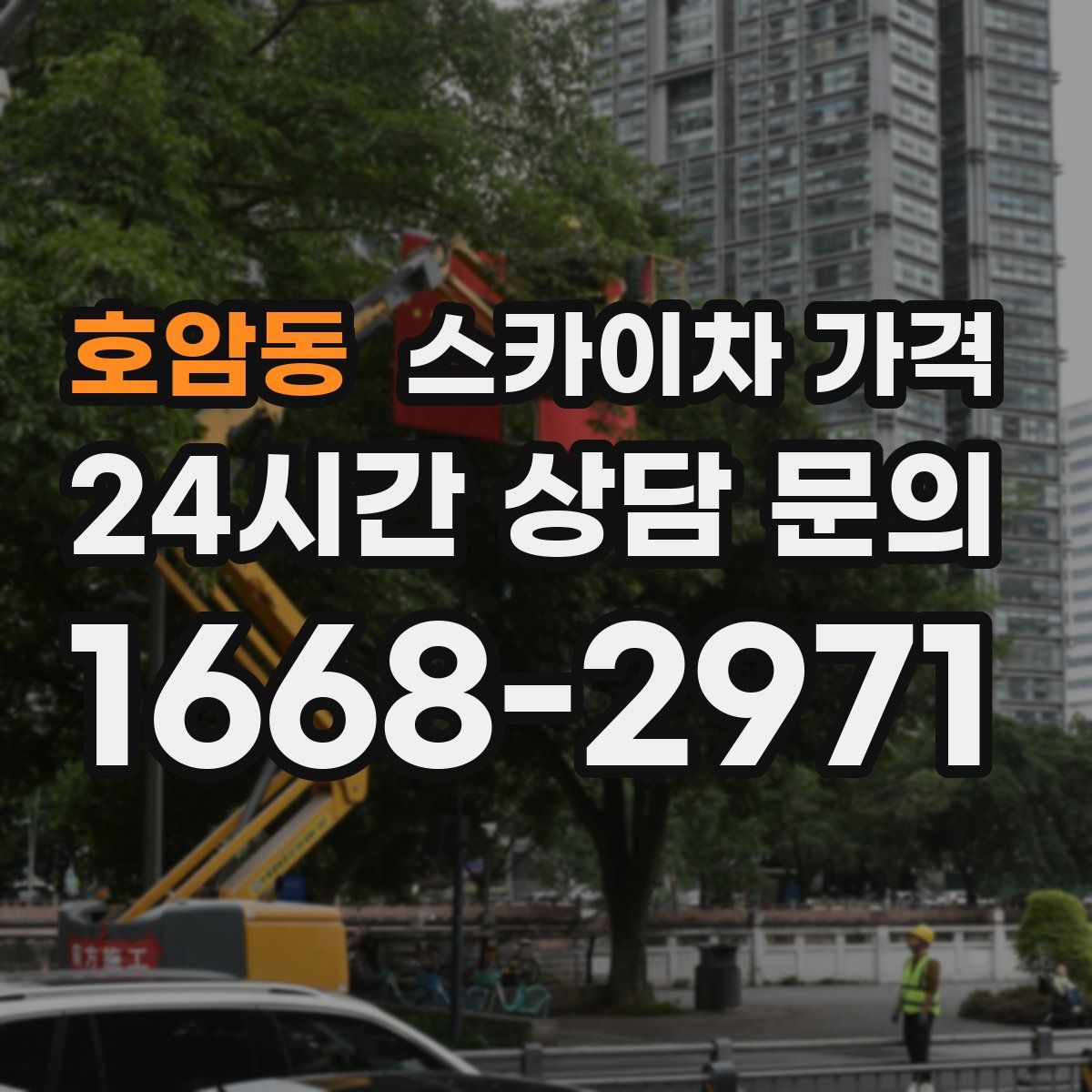 호암동 스카이차 가격