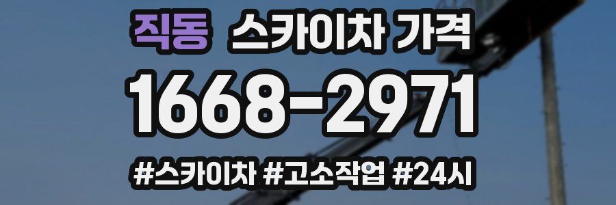 직동 스카이차 가격